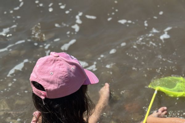 image000190EB2E4BF-CF66-BBC0-1F40-2856B7FF53D9.jpeg