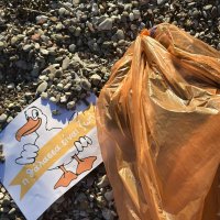 Συμμετέχοντας ενεργά στην προστασία του περιβάλλοντος!